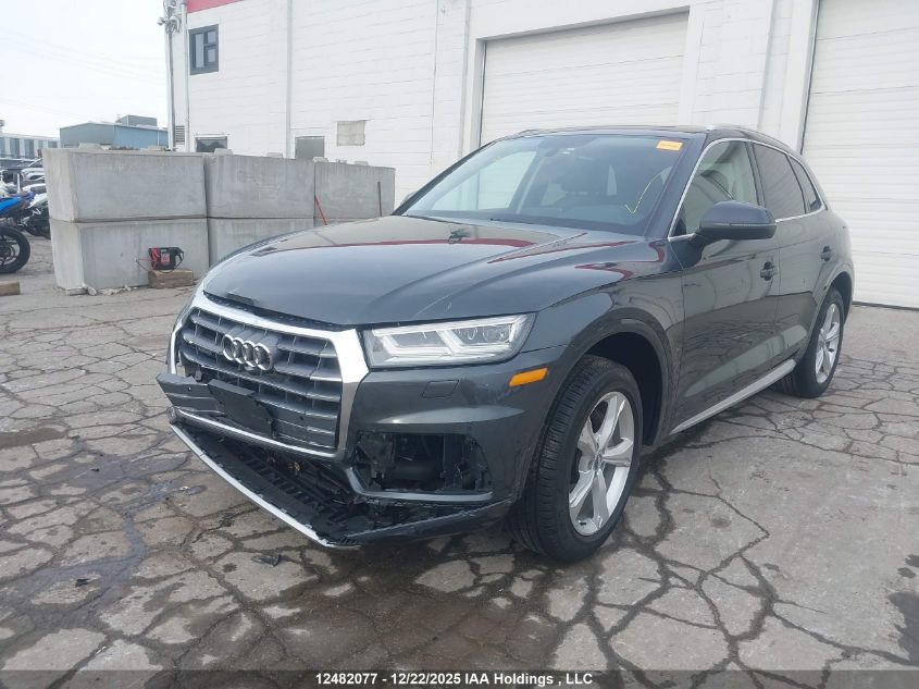 2019 Audi Q5 Premium Plus VIN: WA1BNAFYXK2075027 Lot: 12482077
