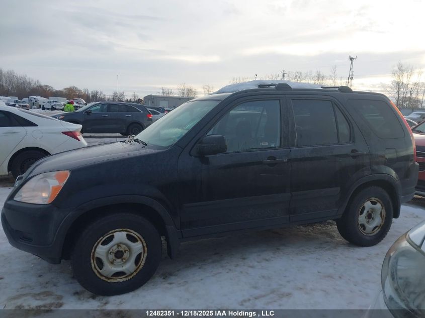 2002 Honda Cr-V Ex VIN: JHLRD77862C804971 Lot: 12482351