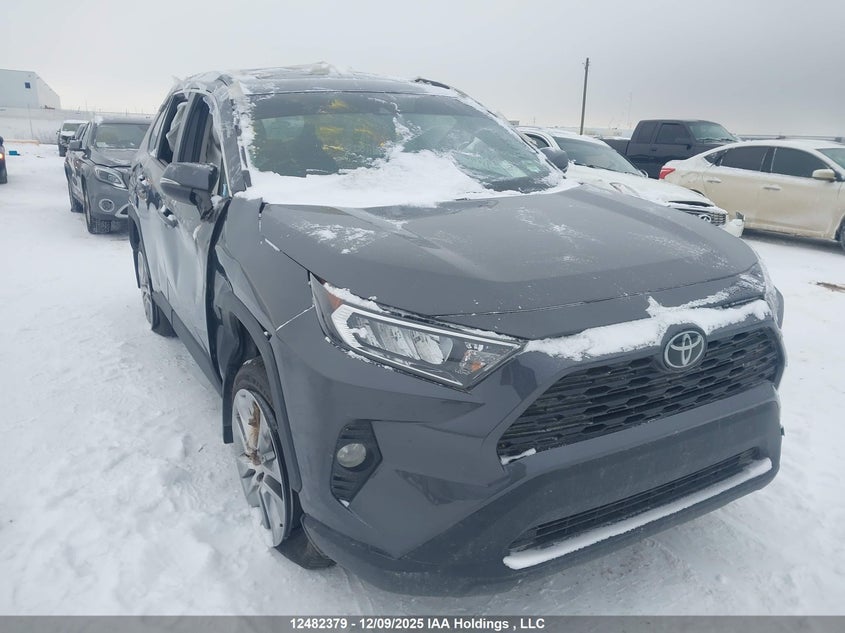 2T3R1RFV6KC049439 2019 Toyota Rav4 Xle auction photo 1