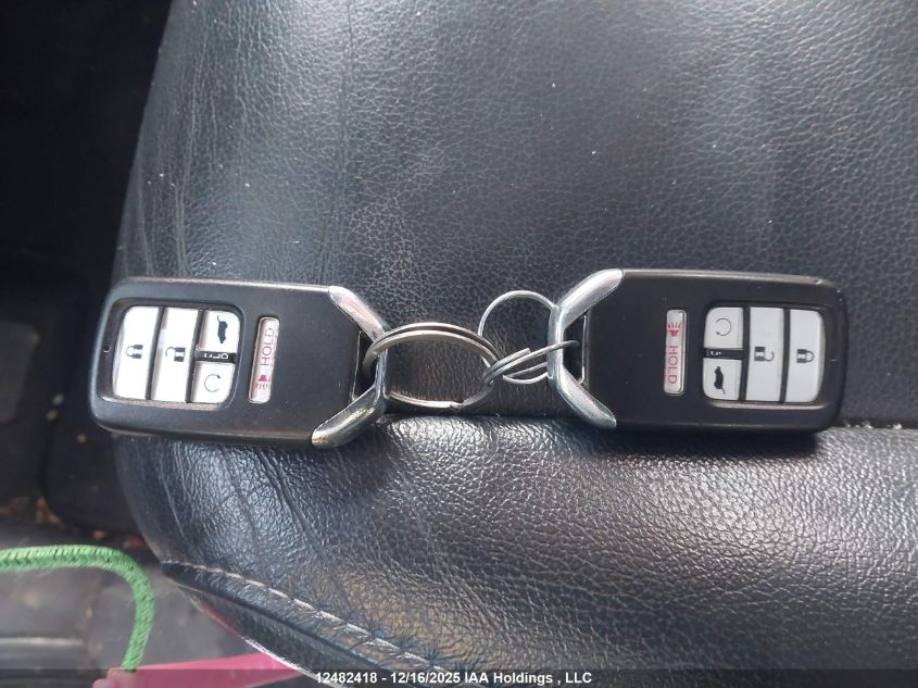 2019 Honda Pilot Ex-L Navi VIN: 5FNYF6H7XKB505568 Lot: 12482418