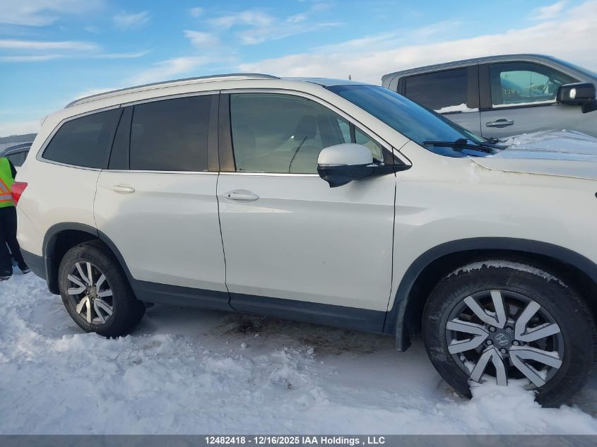 2019 Honda Pilot Ex-L Navi VIN: 5FNYF6H7XKB505568 Lot: 12482418