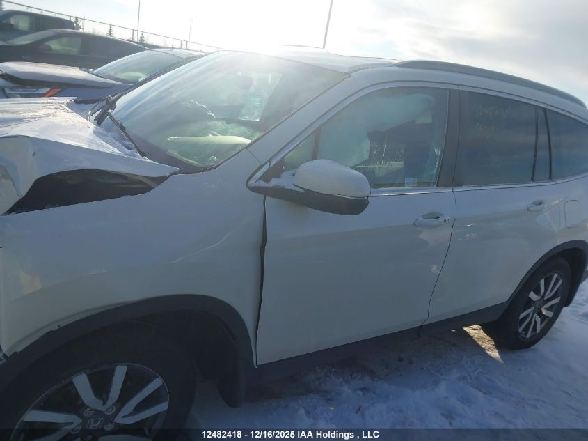 2019 Honda Pilot Ex-L Navi VIN: 5FNYF6H7XKB505568 Lot: 12482418