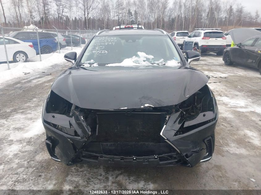 2020 Lexus Nx 300 VIN: JTJGARDZ8L5012829 Lot: 12482633