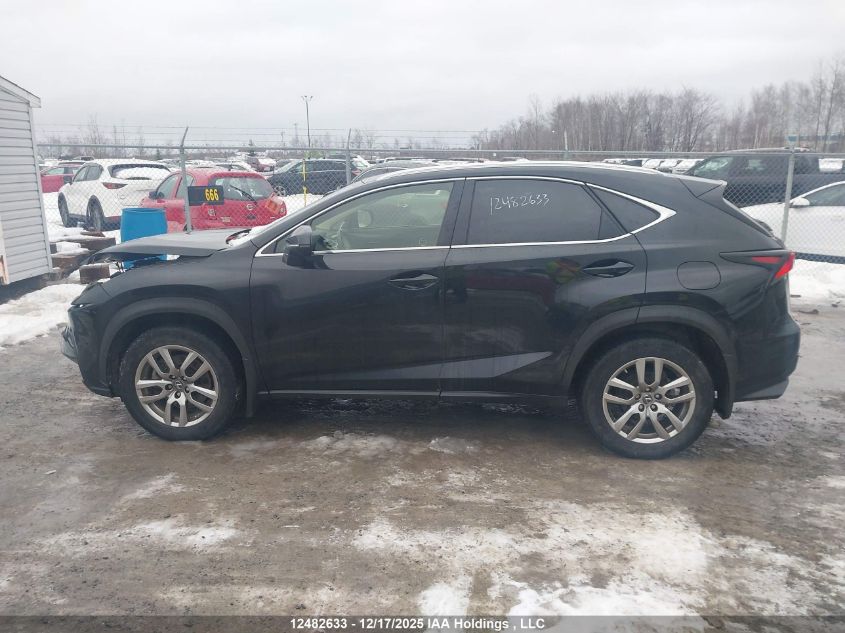2020 Lexus Nx 300 VIN: JTJGARDZ8L5012829 Lot: 12482633
