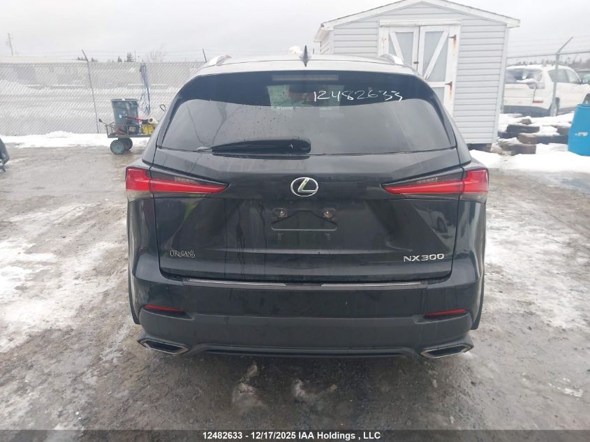 2020 Lexus Nx 300 VIN: JTJGARDZ8L5012829 Lot: 12482633