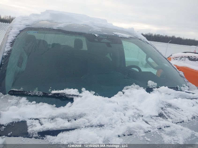 2025 Ford F150 Xlt VIN: 1FTFW3L81SKE49139 Lot: 12482655