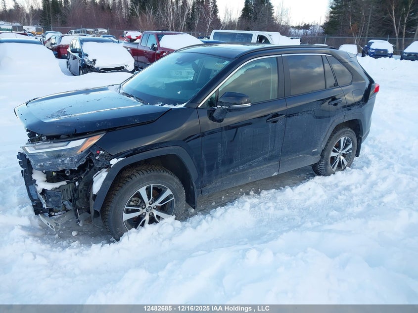 2T3RWRFV4RW250024 2024 TOYOTA RAV 4 photo no. 2