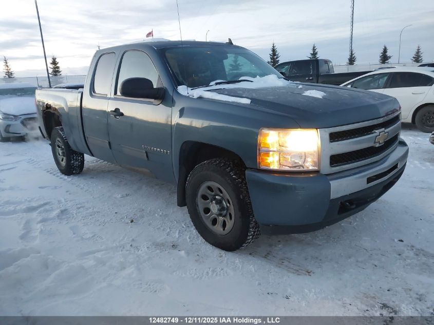 2009 Chevrolet Silverado K1500 VIN: 1GCEK19C99Z109133 Lot: 12482749