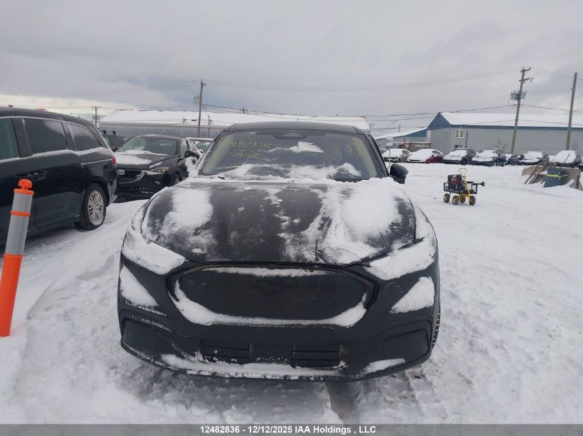 2023 Ford Mustang Mach-E Premium VIN: 3FMTK3SU3PMA79465 Lot: 12482836