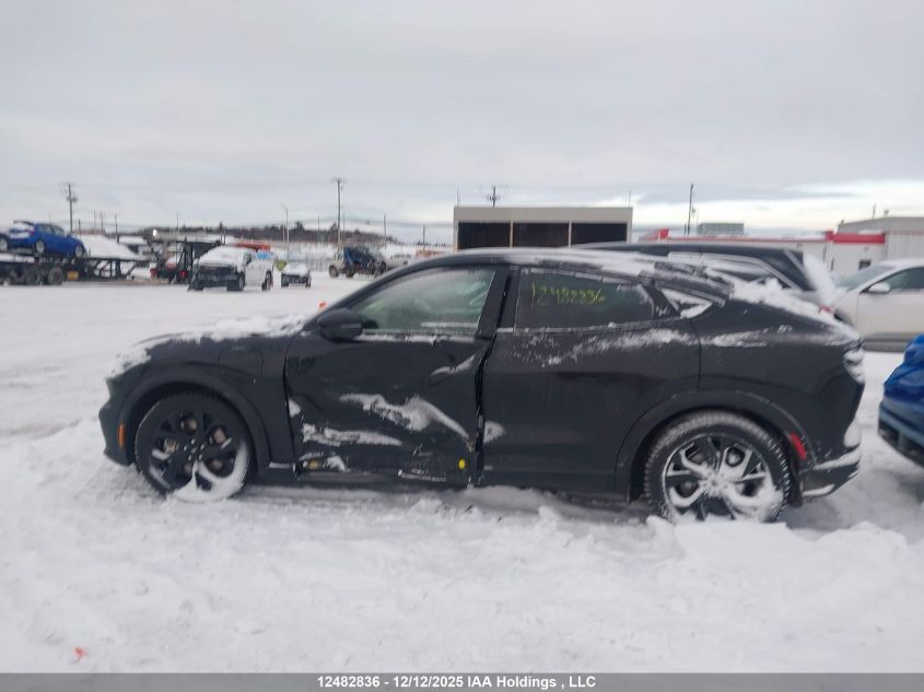 2023 Ford Mustang Mach-E Premium VIN: 3FMTK3SU3PMA79465 Lot: 12482836