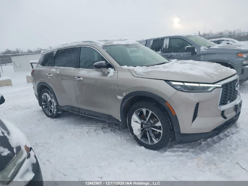 2025 Infiniti Qx60 Luxe VIN: 5N1AL1FS2SC336725 Lot: 12482907