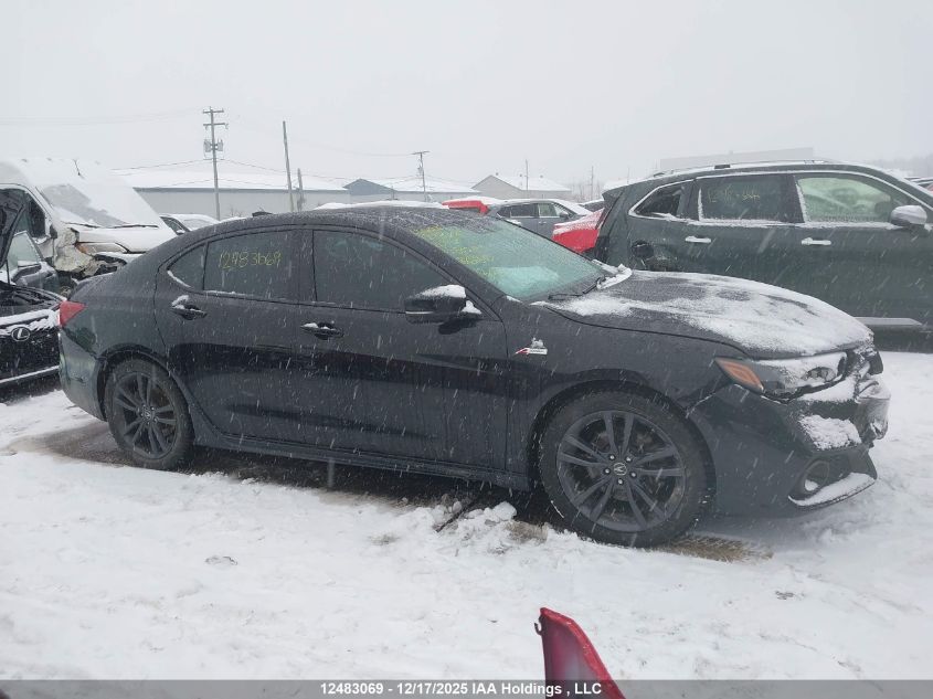 2020 Acura Tlx Tech A-Spec/Tech A-Spec Pmc Edition VIN: 19UUB3F61LA802193 Lot: 12483069