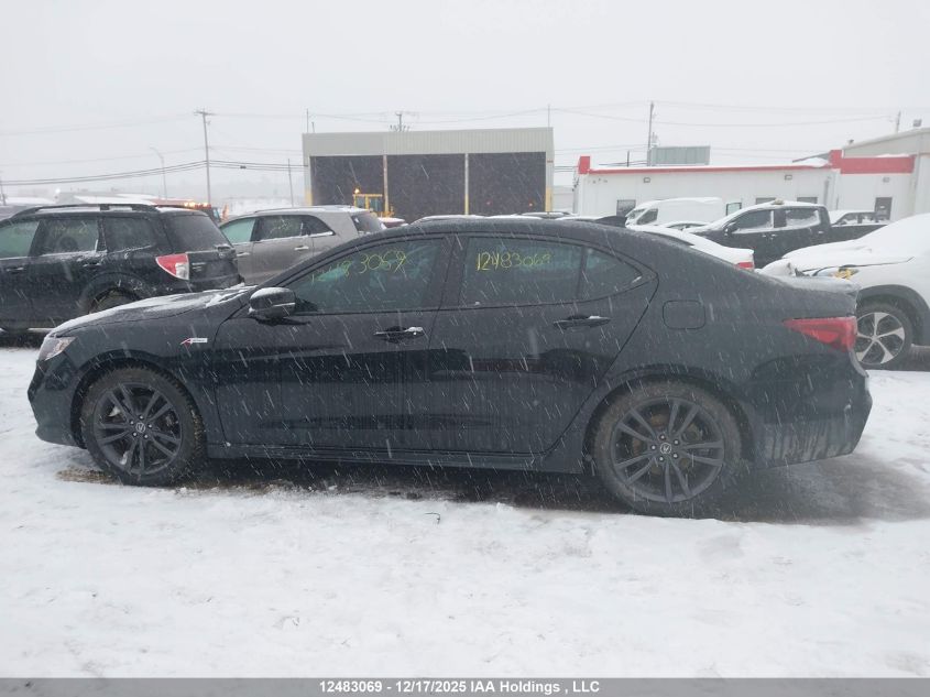 2020 Acura Tlx Tech A-Spec/Tech A-Spec Pmc Edition VIN: 19UUB3F61LA802193 Lot: 12483069