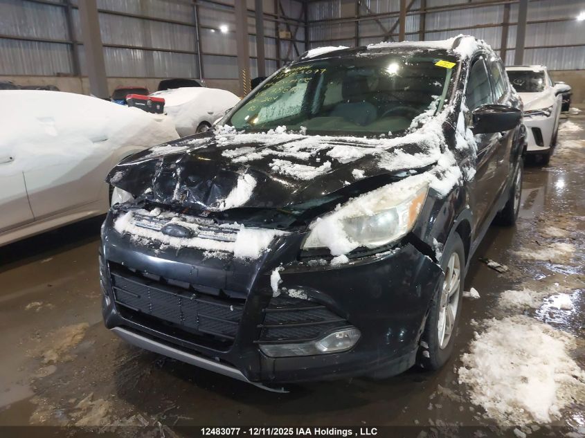 2014 Ford Escape Se VIN: 1FMCU0G91EUC78858 Lot: 12483077