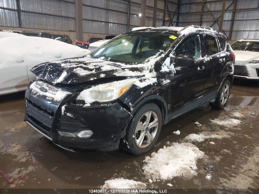 2014 Ford Escape Se VIN: 1FMCU0G91EUC78858 Lot: 12483077