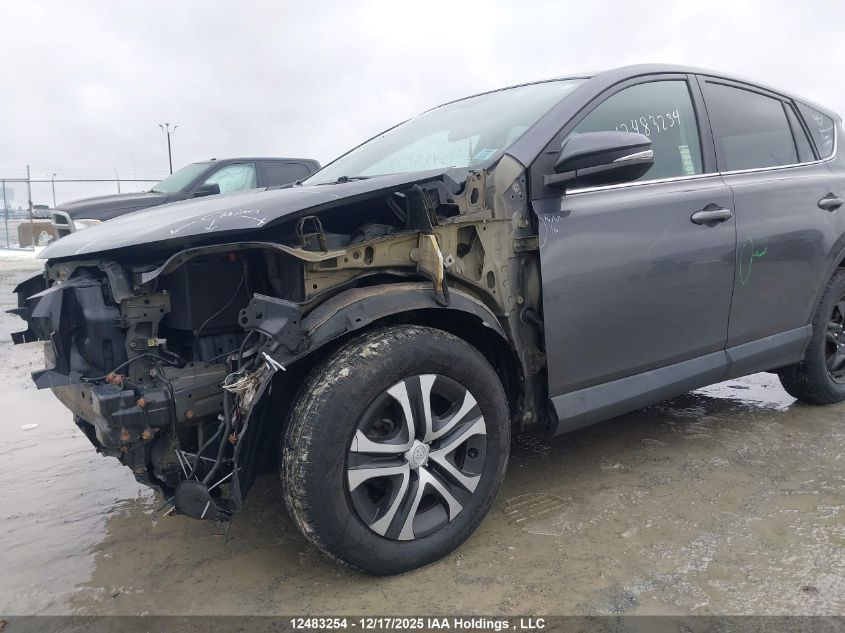 2016 Toyota Rav4 Le VIN: 2T3BFREV2GW467880 Lot: 12483254