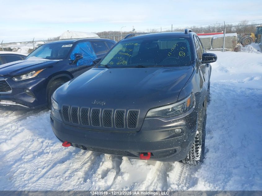 2022 Jeep Cherokee Trailhawk Elite VIN: 1C4PJMBX6ND501035 Lot: 12483519
