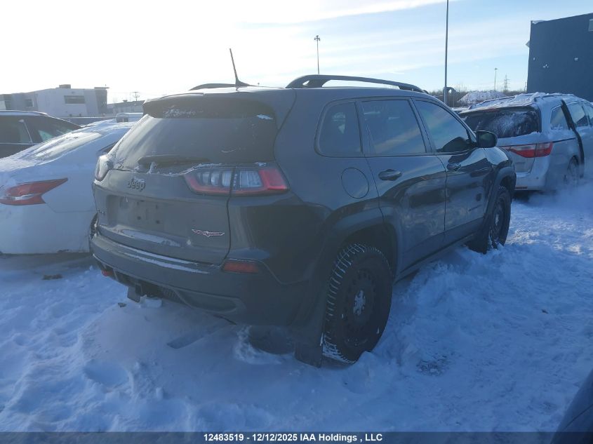 2022 Jeep Cherokee Trailhawk Elite VIN: 1C4PJMBX6ND501035 Lot: 12483519