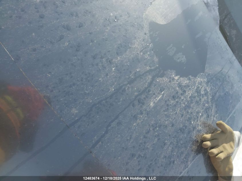 2017 Audi A4 2.0T Progressiv VIN: WAUENAF45HN024605 Lot: 12483674