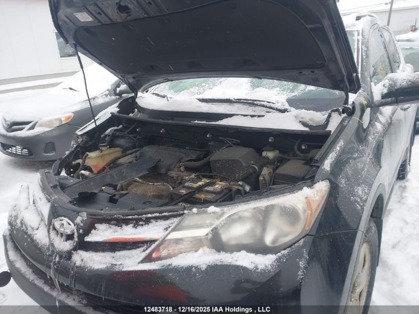 2014 Toyota Rav4 Xle VIN: 2T3WFREV1EW122824 Lot: 12483718