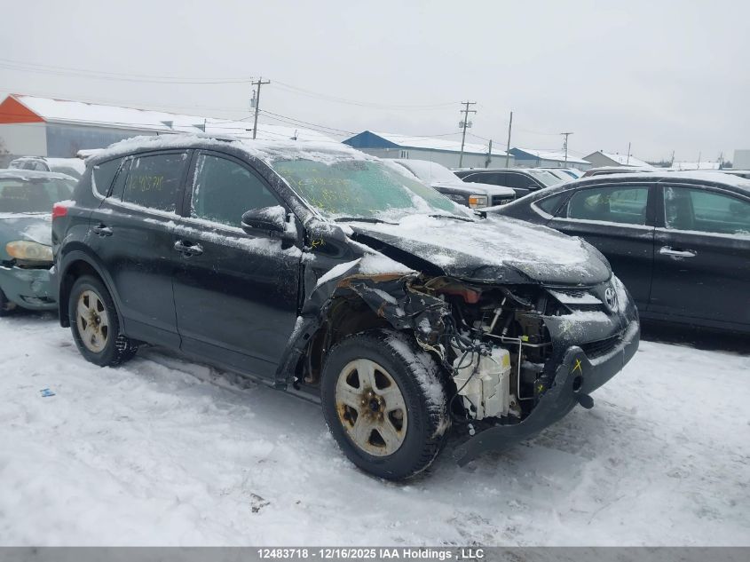 2014 Toyota Rav4 Xle VIN: 2T3WFREV1EW122824 Lot: 12483718
