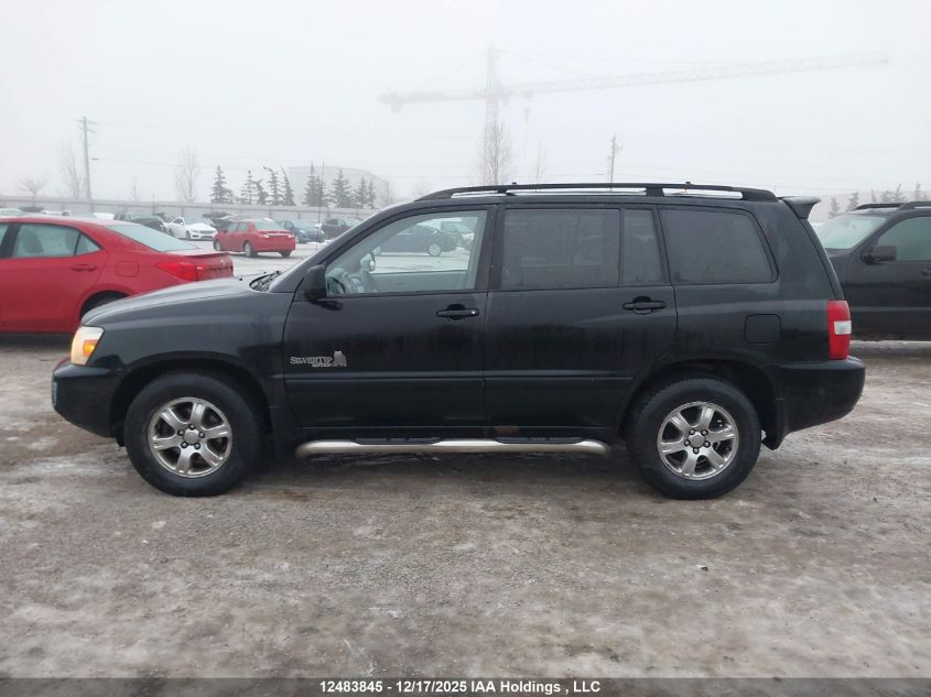 2004 Toyota Highlander V6/V6 7 Passenger VIN: JTEHP21A540027729 Lot: 12483845