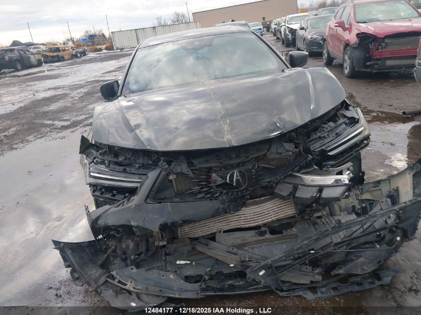 2022 Acura Tlx A-Spec Package VIN: 19UUB6F54NA800885 Lot: 12484177