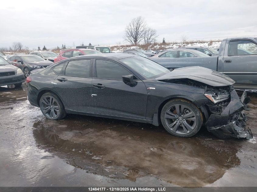 2022 Acura Tlx A-Spec Package VIN: 19UUB6F54NA800885 Lot: 12484177