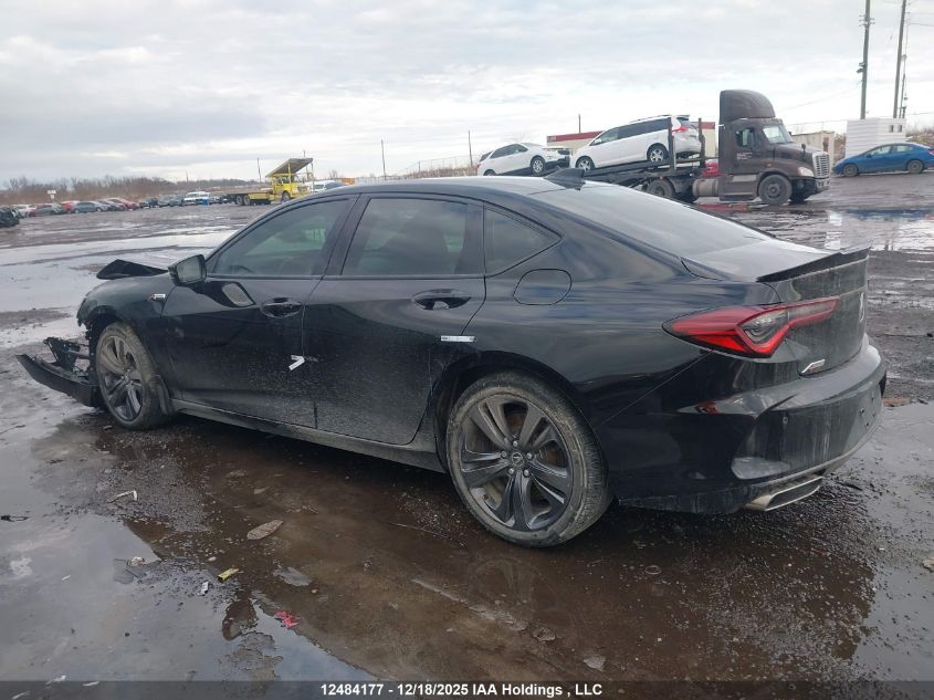 2022 Acura Tlx A-Spec Package VIN: 19UUB6F54NA800885 Lot: 12484177