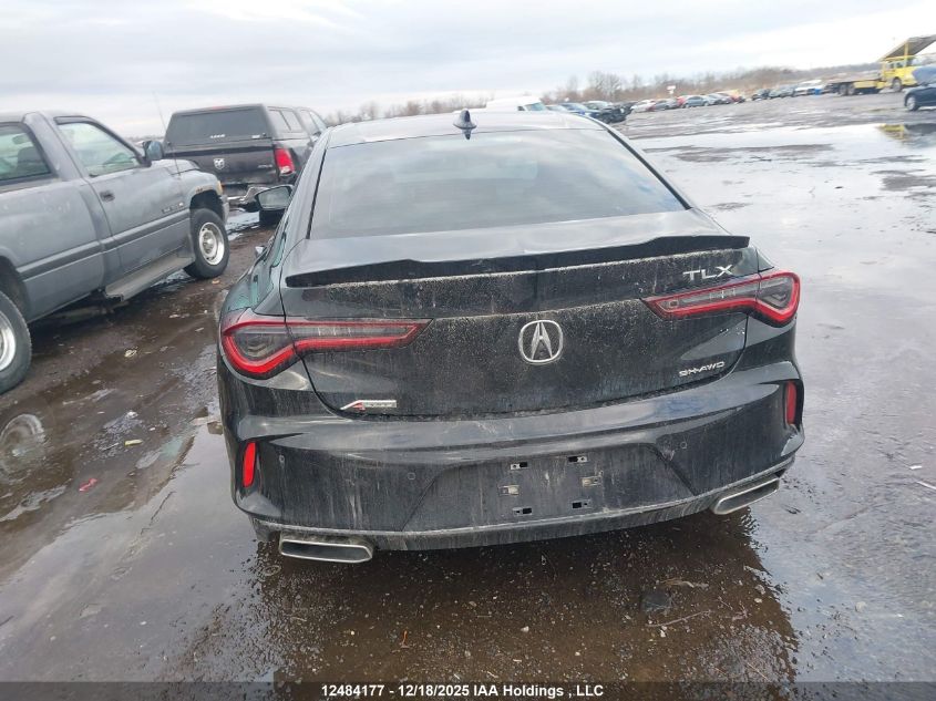 2022 Acura Tlx A-Spec Package VIN: 19UUB6F54NA800885 Lot: 12484177