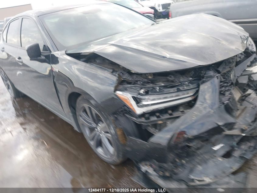 2022 Acura Tlx A-Spec Package VIN: 19UUB6F54NA800885 Lot: 12484177