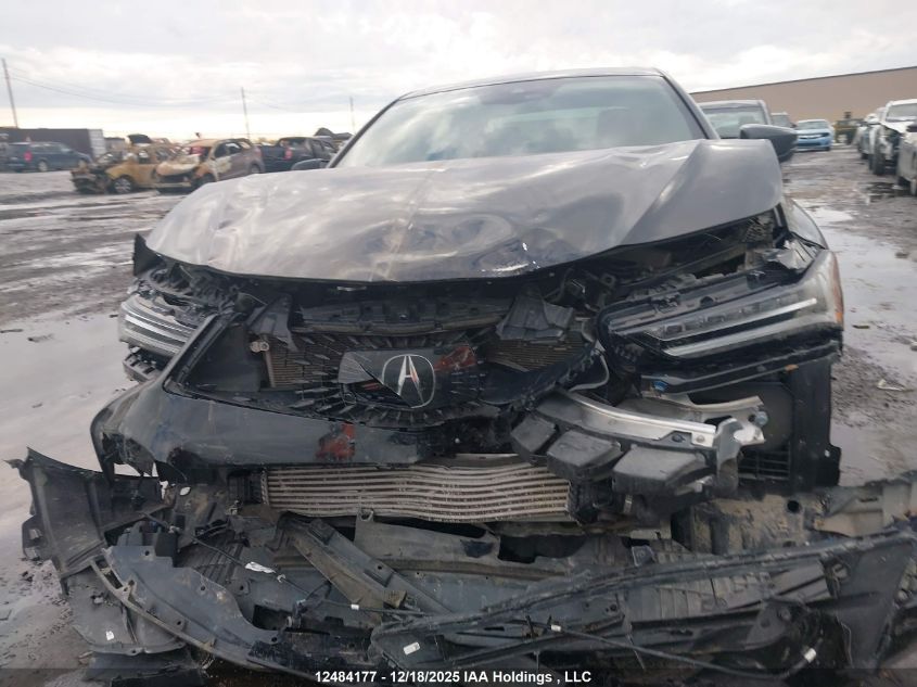 2022 Acura Tlx A-Spec Package VIN: 19UUB6F54NA800885 Lot: 12484177