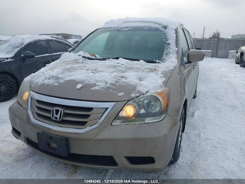 2008 Honda Odyssey Ex-L VIN: 5FNRL38708B505082 Lot: 12484242