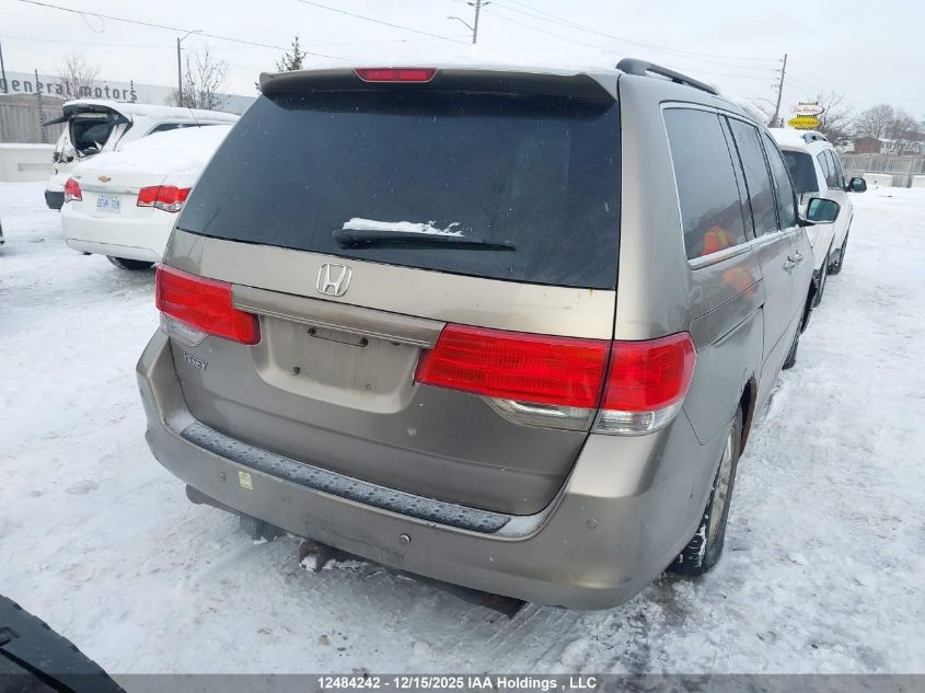 2008 Honda Odyssey Ex-L VIN: 5FNRL38708B505082 Lot: 12484242
