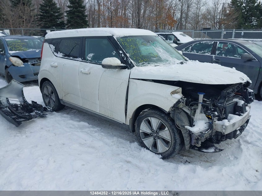 KNDJ33A16L7006224 KIA SOUL EV Photo 1