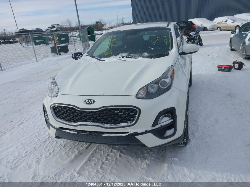 2021 Kia Sportage Lx/Lx S VIN: KNDPMCAC8M7895201 Lot: 12484381