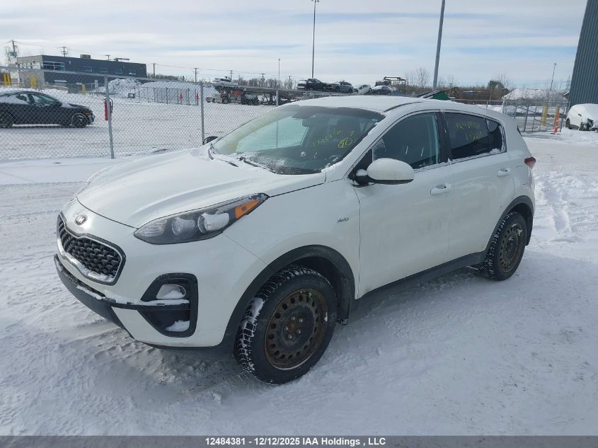 2021 Kia Sportage Lx/Lx S VIN: KNDPMCAC8M7895201 Lot: 12484381