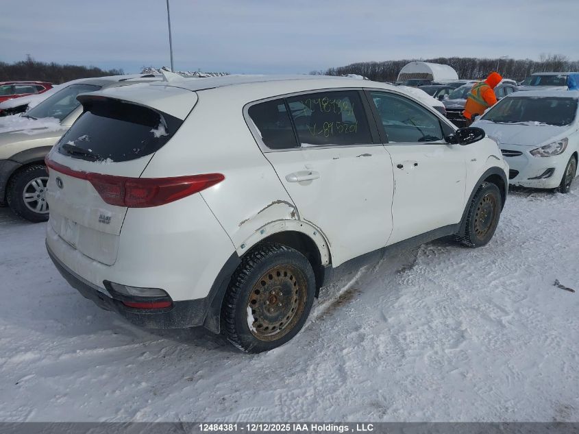 2021 Kia Sportage Lx/Lx S VIN: KNDPMCAC8M7895201 Lot: 12484381