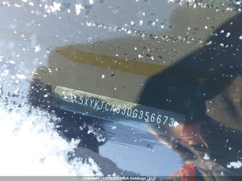 2013 Kia Sorento Lx VIN: 5XYKTCA63DG356673 Lot: 12484488