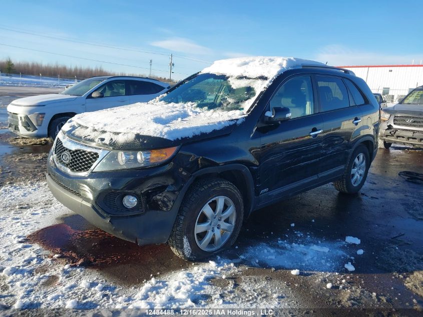 2013 Kia Sorento Lx VIN: 5XYKTCA63DG356673 Lot: 12484488