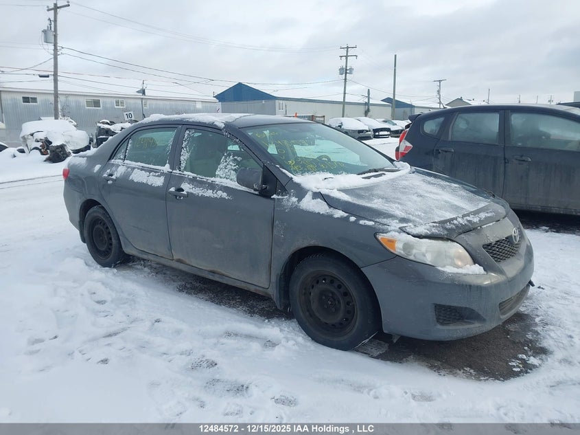 2T1BU4EE1AC345974 2010 Toyota Corolla auction photo 1