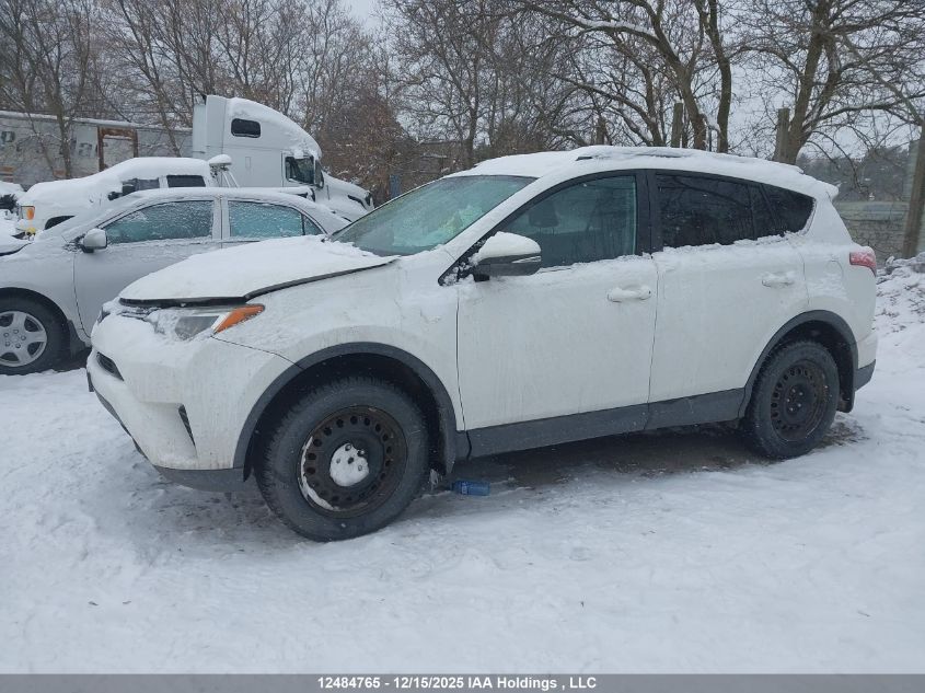 2016 Toyota Rav4 Le VIN: 2T3ZFREV7GW275630 Lot: 12484765