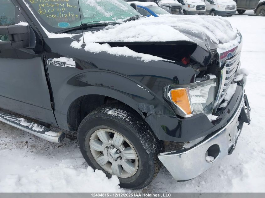 2010 Ford F150 Supercrew VIN: 1FTFW1EV0AFD00056 Lot: 12484815