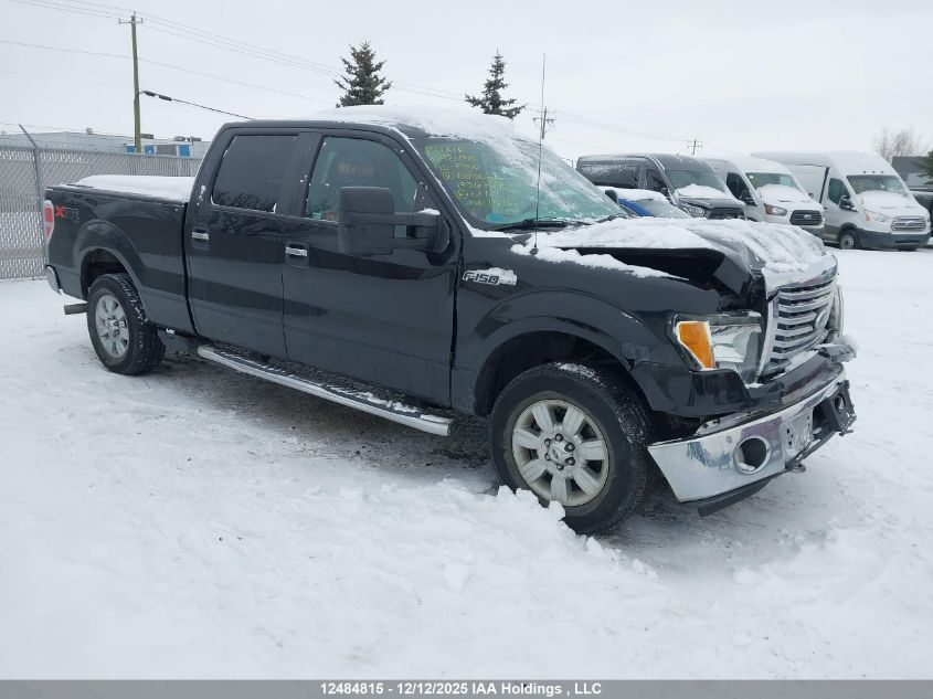 2010 Ford F150 Supercrew VIN: 1FTFW1EV0AFD00056 Lot: 12484815
