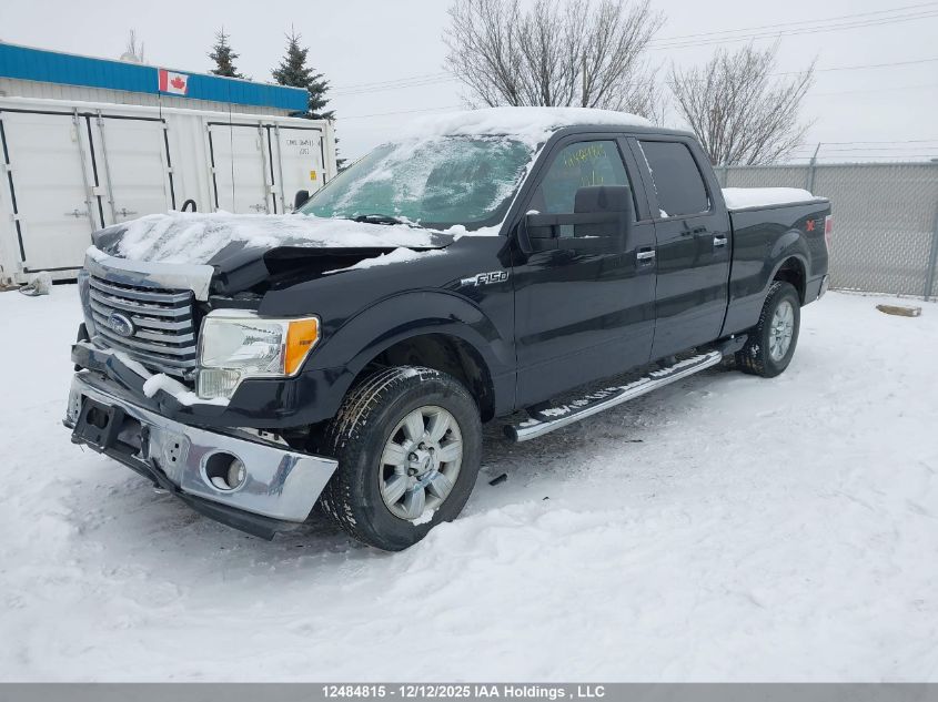 2010 Ford F150 Supercrew VIN: 1FTFW1EV0AFD00056 Lot: 12484815