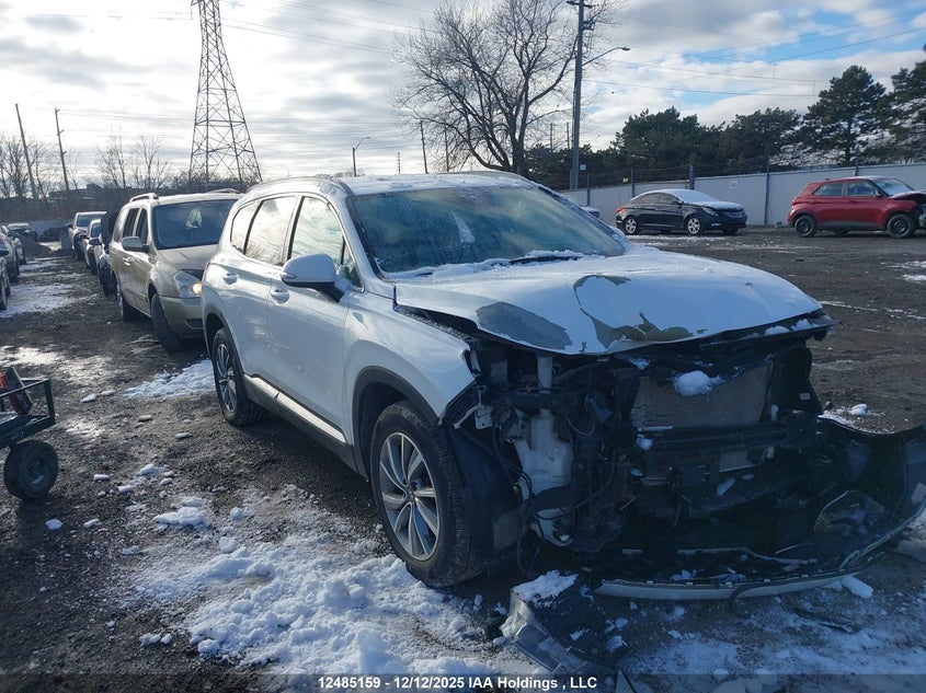 5NMS3CAD8KH004609 2019 Hyundai Santa Fe Sel/Sel Plus auction photo 1