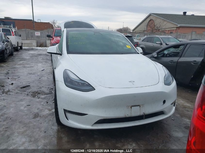2023 Tesla Model Y Long Range VIN: LRWYGDEE8PC136800 Lot: 12485248