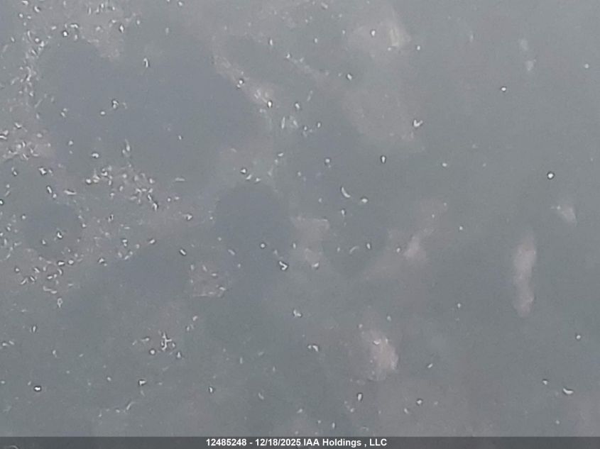 2023 Tesla Model Y Long Range VIN: LRWYGDEE8PC136800 Lot: 12485248