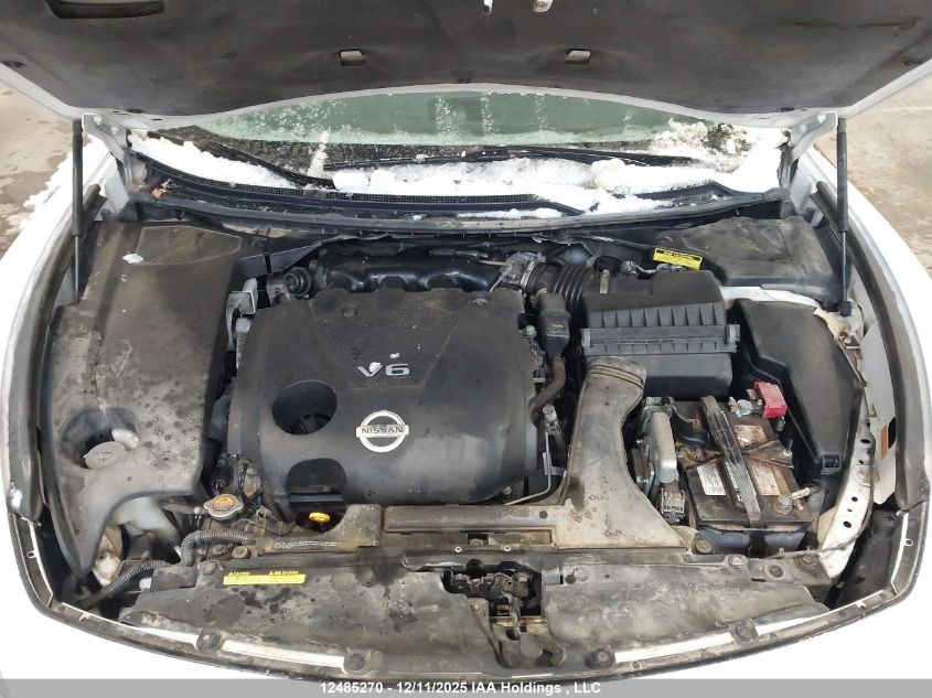 2009 Nissan Maxima 3.5 S VIN: 1N4AA51E39C857259 Lot: 12485270