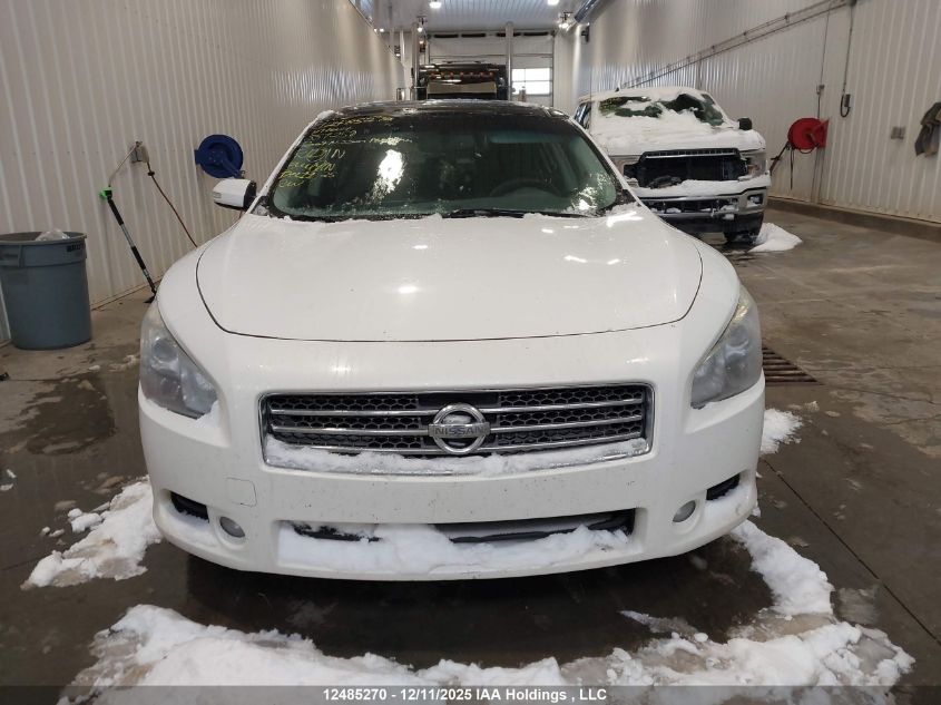 2009 Nissan Maxima 3.5 S VIN: 1N4AA51E39C857259 Lot: 12485270
